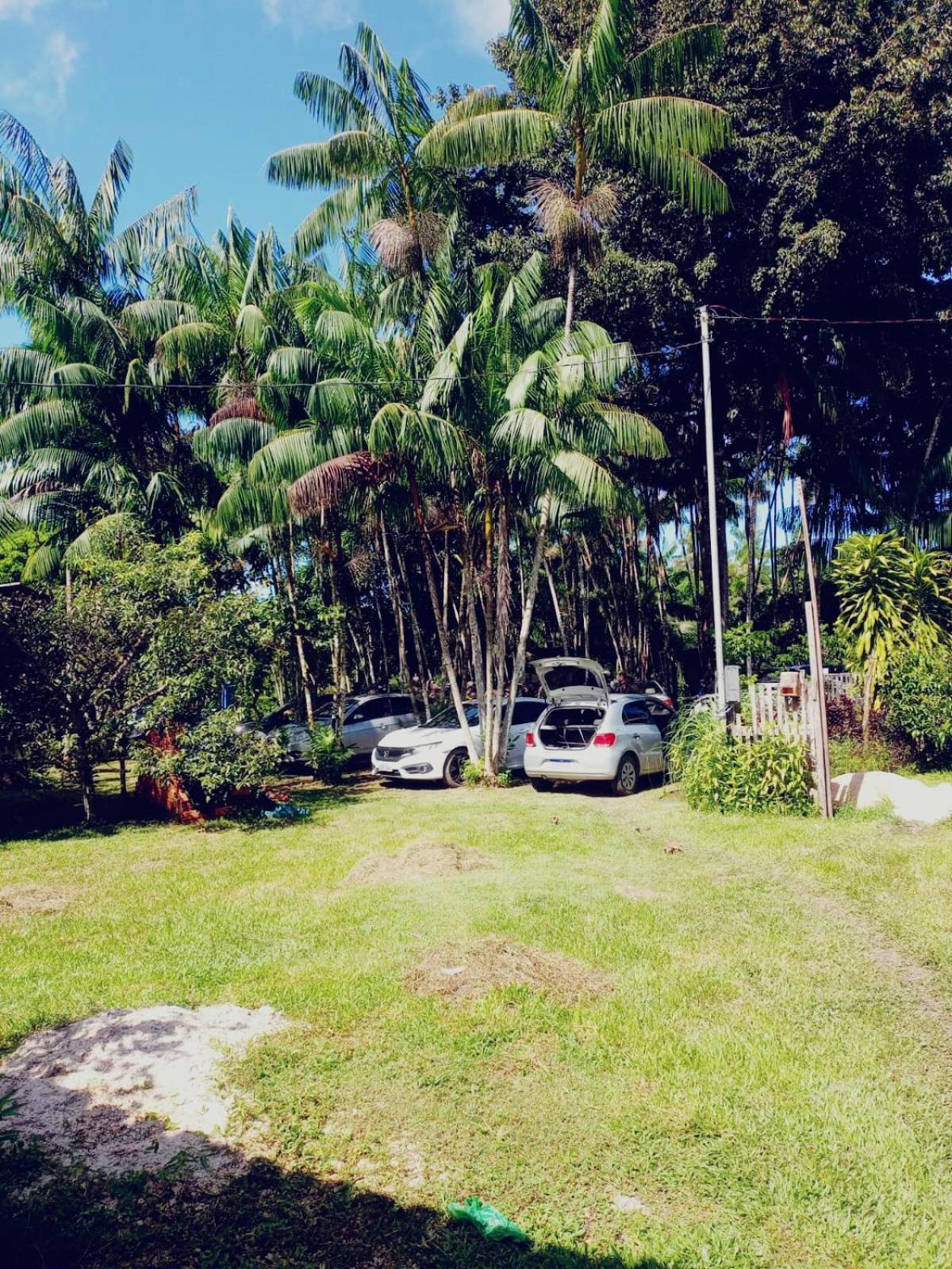 Hotel Eco Sitio O Labirinto Do Fauno Mosqueiro  Esterno foto