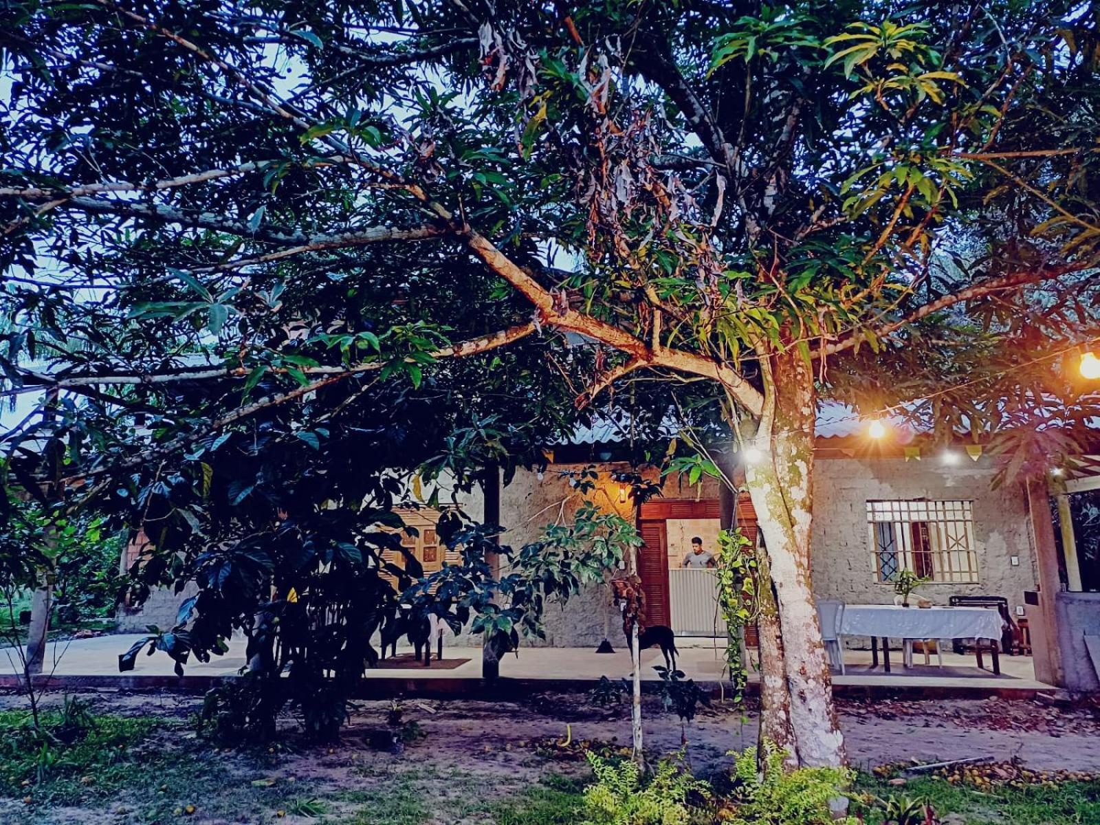 Hotel Eco Sitio O Labirinto Do Fauno Mosqueiro  Esterno foto