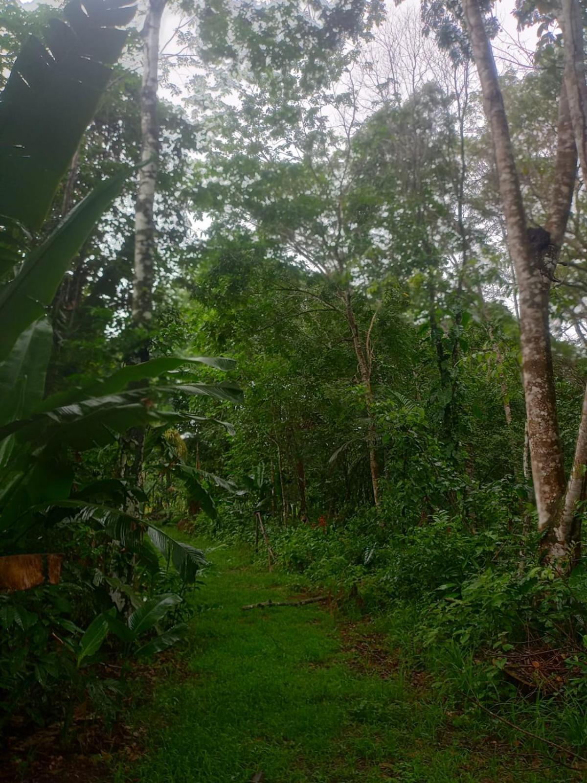 Hotel Eco Sitio O Labirinto Do Fauno Mosqueiro  Esterno foto