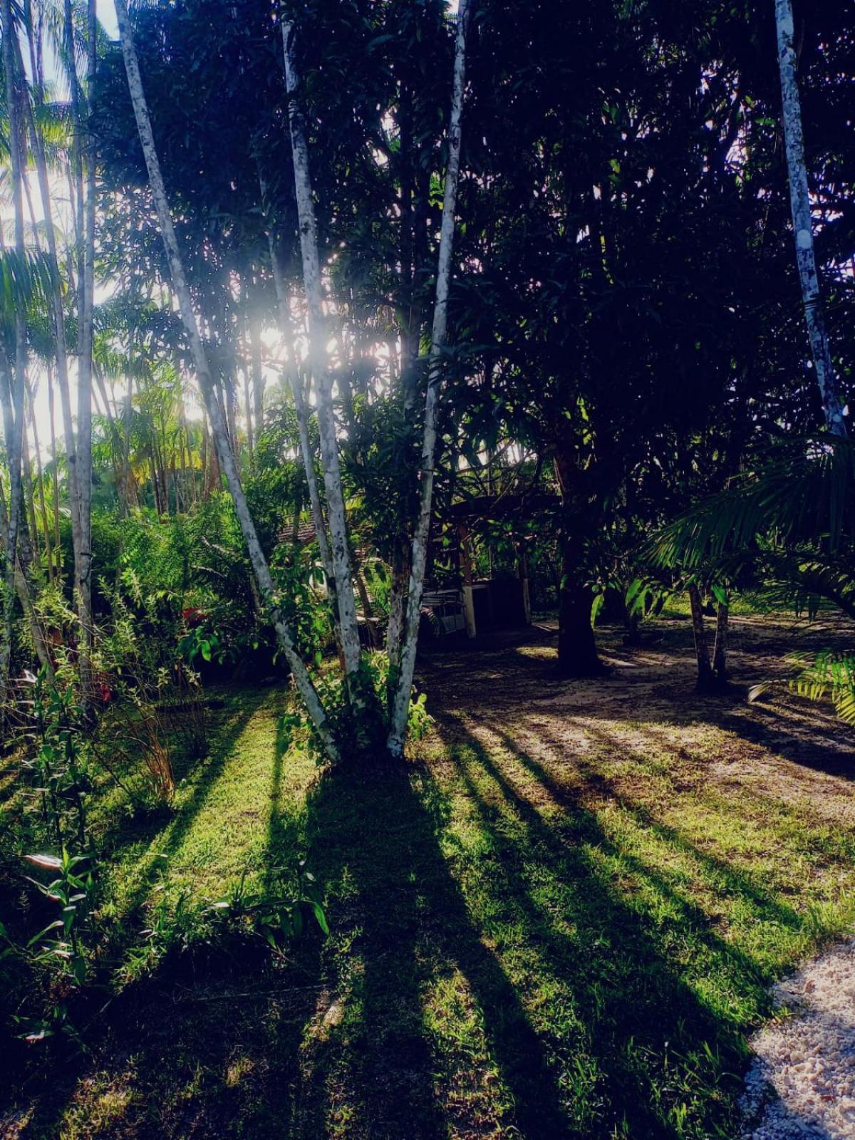 Hotel Eco Sitio O Labirinto Do Fauno Mosqueiro  Esterno foto